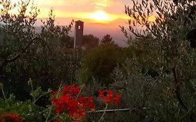 La Casetta Di Campagna Alloggio Nel Chianti