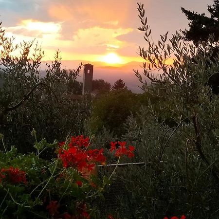 La Casetta Di Campagna Alloggio Nel Chianti Pomino Extérieur photo