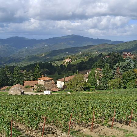 La Casetta Di Campagna Alloggio Nel Chianti Pomino Extérieur photo