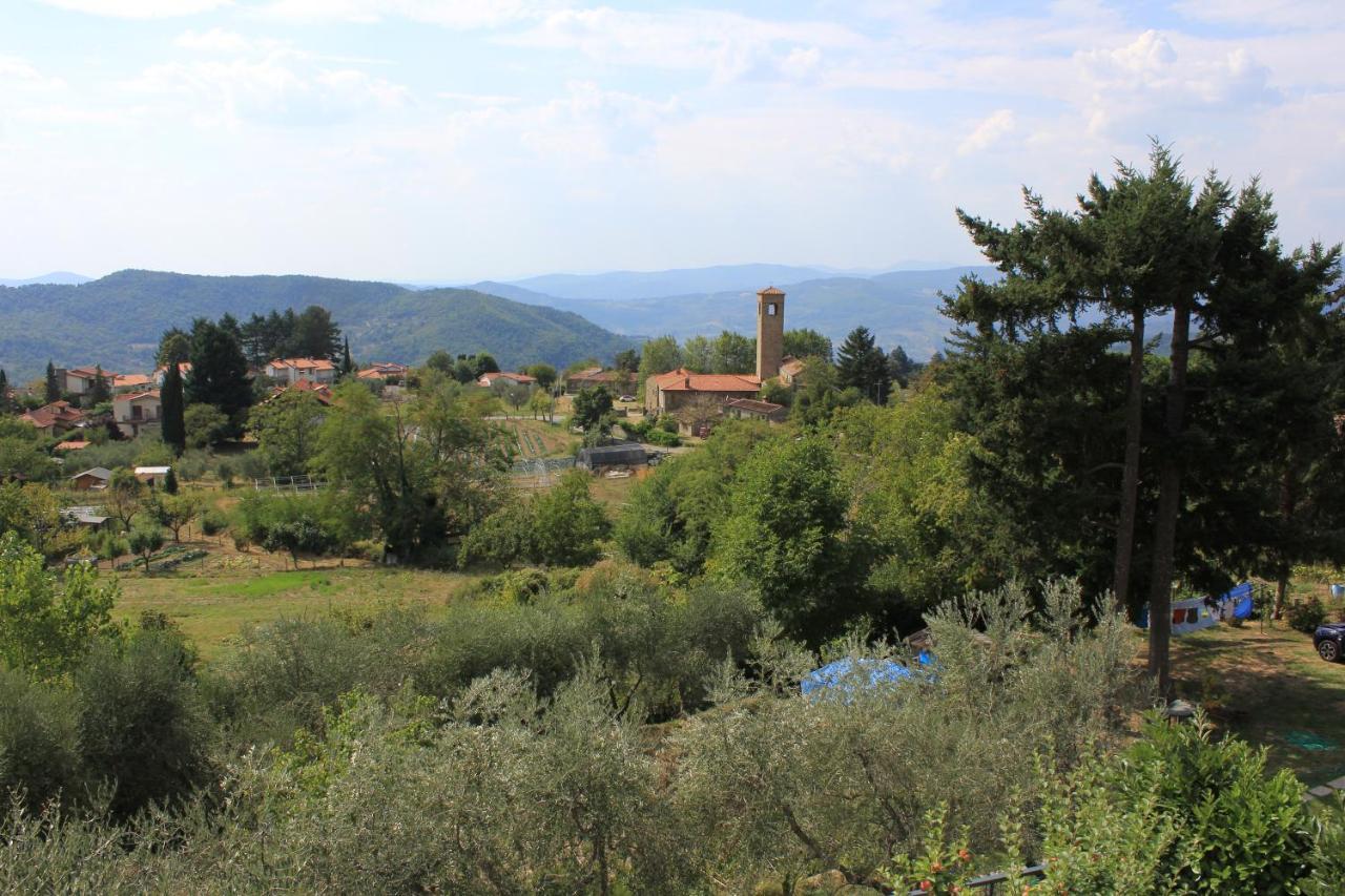 La Casetta Di Campagna Alloggio Nel Chianti Pomino Extérieur photo