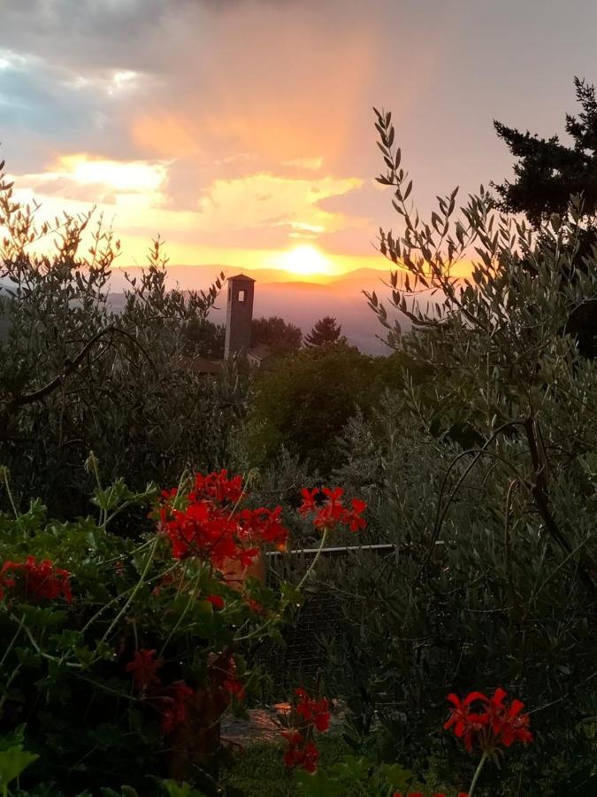 La Casetta Di Campagna Alloggio Nel Chianti Pomino Extérieur photo